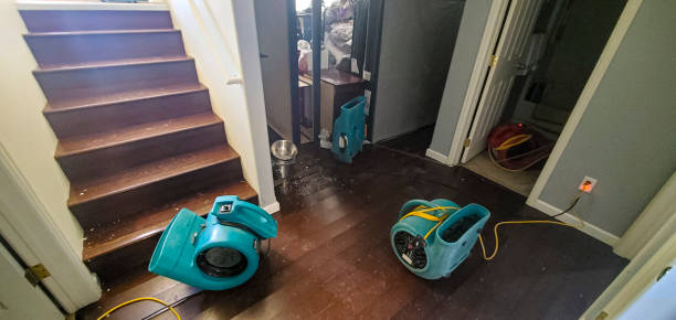 Best Ceiling water damage repair  in Bradley Beach, NJ